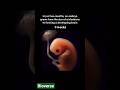Embryo development in short😳 #shorts #shortsfeed #education #biotechnology #youtubeshorts