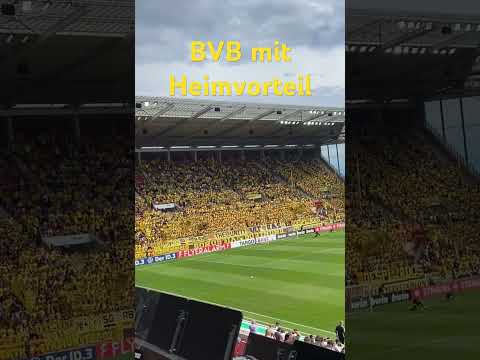 TSV Schott Mainz vs. Borussia Dortmund 09 TSVBVB Heimvorteil dahin DFB Pokal