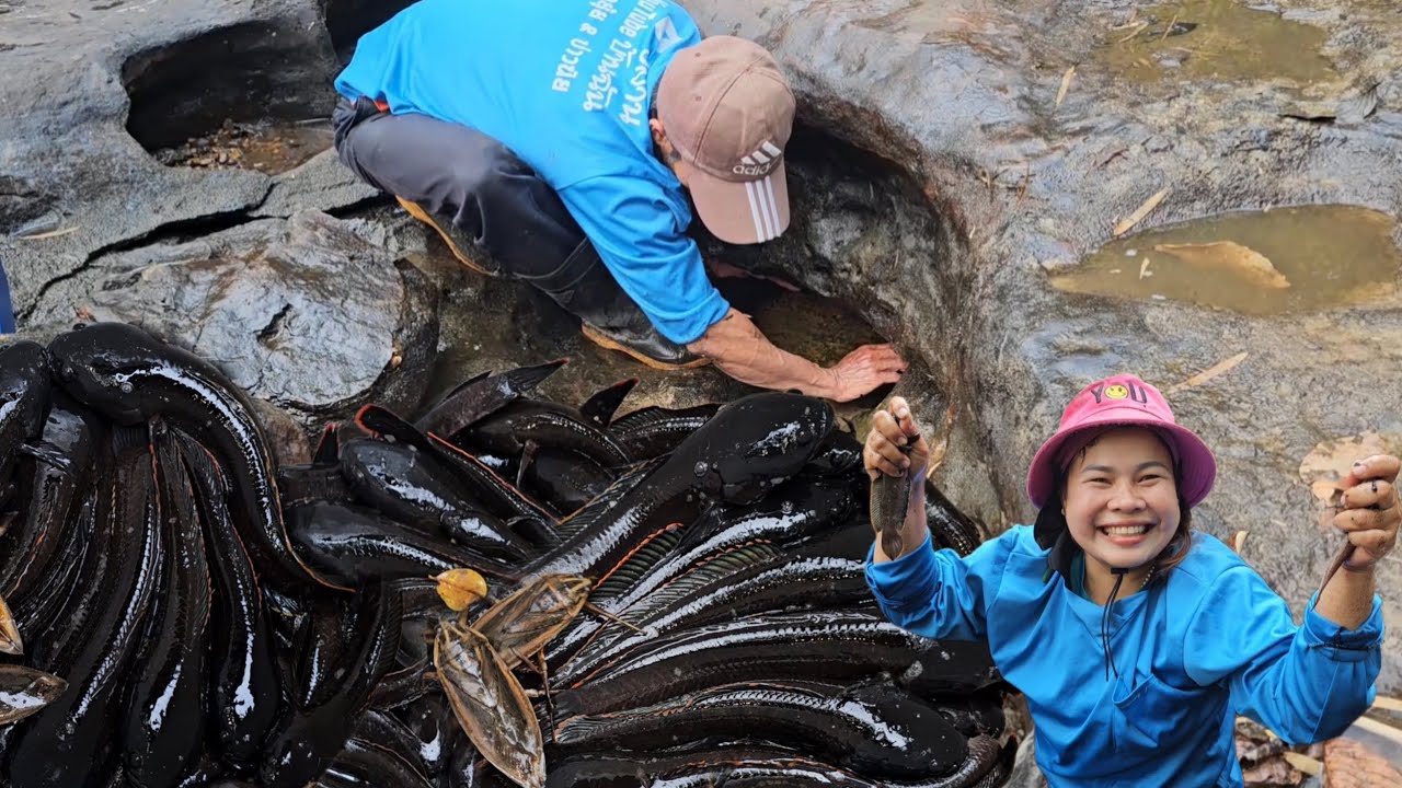 สระปลาโบกหิน​บนยอดเขา หมานปลากั้งล้วนๆมีแต่ตัวสวยๆจ้า​ 25​ก.พ.69