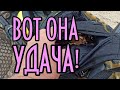 ЭТО НУЖНО ВИДЕТЬ!ВОТ ОНА НАСТОЯЩАЯ УДАЧА ПОИСКОВИКА!ШОК,НАШЁЛ ЗОЛОТО В МОРЕ ЗА ОДИН РАЗ ДОРО ВСЕГО!