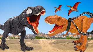 The BEST of Dinosaur Attack | T-rex Chase | Jurassic World Dinosaur Fan Movie | Dinosaur | Rexy