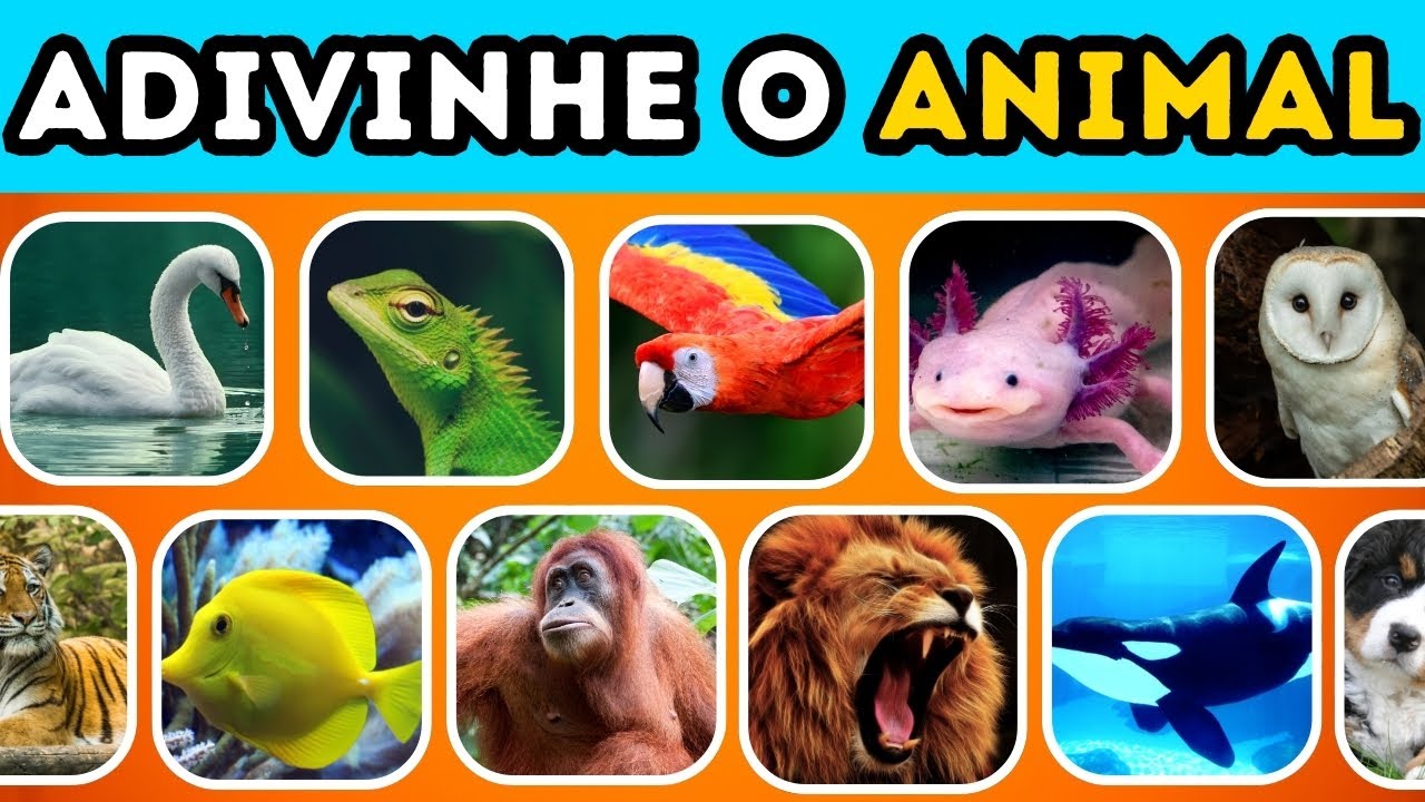 ADIVINHE o ANIMAL em 5 Segundos! | Qual é o Animal? Quiz de 80 Animais ...