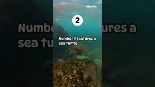Top 5 Animal Survival Moments That Will Leave You Stunned and Amazed#foryou #viral #cuteanimals #fyp