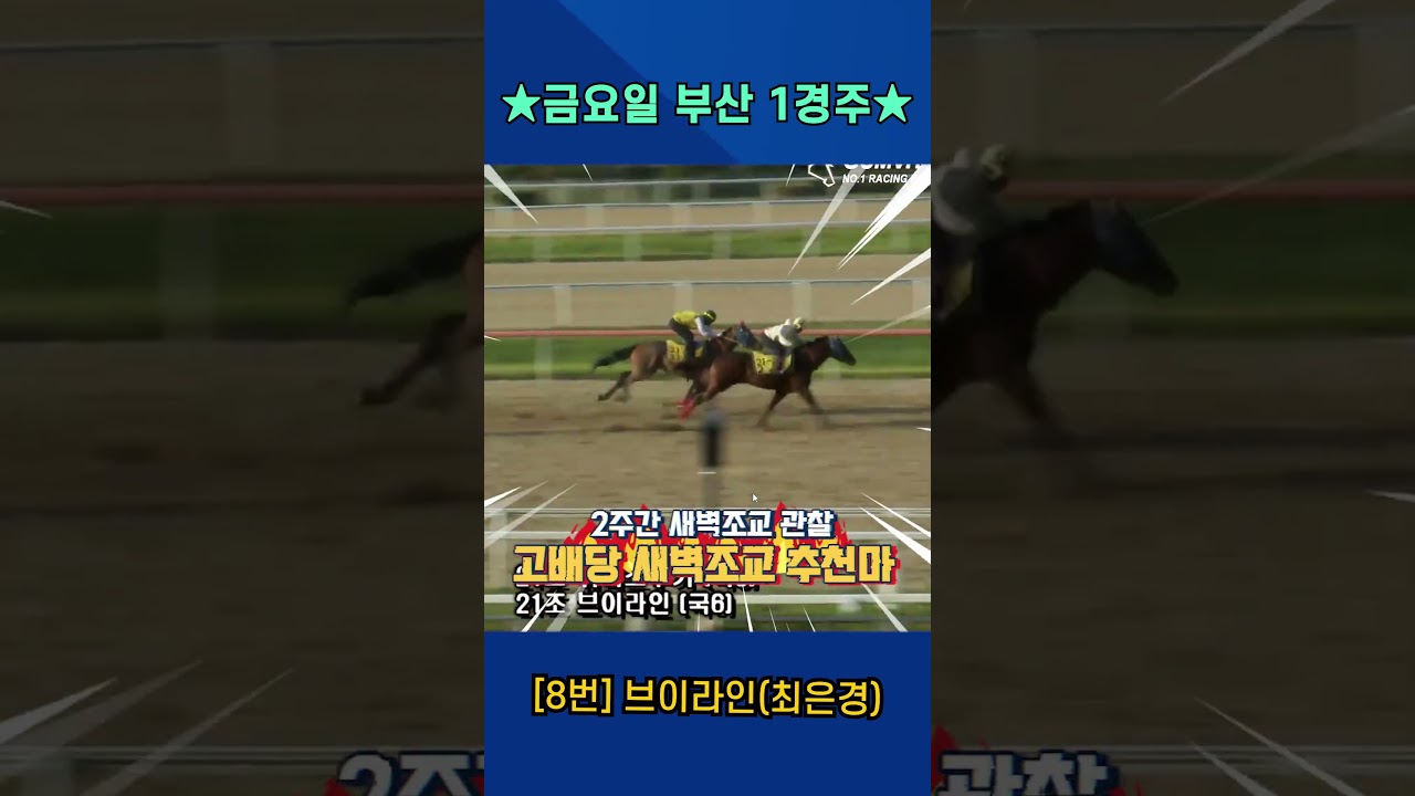 7월3일 금요일 부산 1경주!! 2주간 훈련보인 강백호의 새벽조교 쏘스마!!