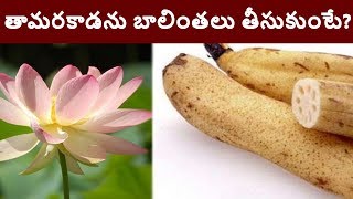 Sports Performance Amazing Benefits of Lotus Root