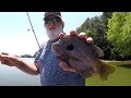 HUGE BLUEGILL!!! Bluegill Fishing With Jigs