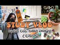 Study vlog  study tips             