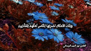 أواخر سورة الحشر للقارئ نور الدين الريحاني