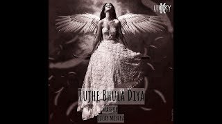 Tujhe Bhula Diya | Anjaana Anjaani | Ranbir Kapoor | Priyanka Chopra | Lucky Mishra | Mashup