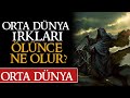 HOBBİTLER VE DİĞERLERİ ÖLÜNCE NE OLUR? | Yüzüklerin Efendisi