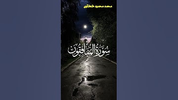 تلاوة خاشعه من سورة المنافقون القارئ محمد محمود طنطاوي #قران #قران_كريم #راحة_نفسية #قرآن #قرآن