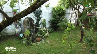 Pas de panique chez Laure : habiller un mur et fleurir un jardin clos