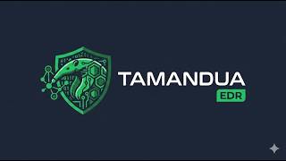 Tamandua Sentinel: Private Endpoint Detection, Public Proof on Solana