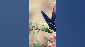 #المصحف  تلاوة خاشعة  للقارئ الشيخ  فارس عباد