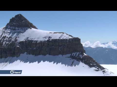 فيديو: ما هي شريحة جبال الألب - أفكار ونصائح حديقة جبال الألب