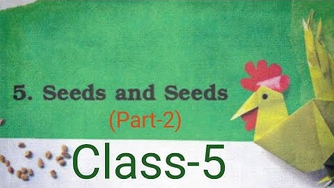 Seeds and Seeds (part 2)#Class- 5 #EVS /CBSE#NCERT