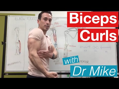 Biceps Curl | Contraction and Extension