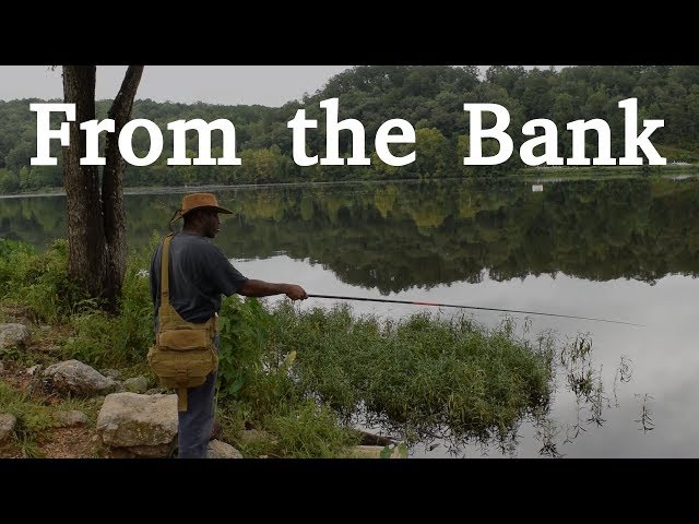 alabama cane pole fishing Cane Pole Fishing in Alabama | Cane Pole Setup