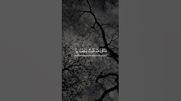 تلاوة جميلة للقارئ ياسر الدوسري #المصحف #قرآن #القرآن