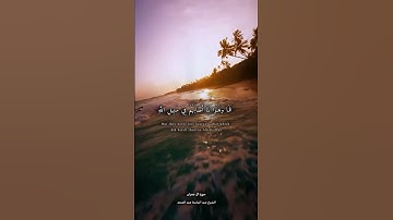 سورة ال عمران✨عبد الباسط عبد الصمد✨ #tiktok #قرآن #اكسبلور #قران_كريم #duet #دويتو #حالات_واتس #يارب
