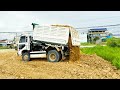 Full Video, Wonderful Filling Up The Land huge, Bulldozer KOMATSU D31p, Dump Truck Unloading