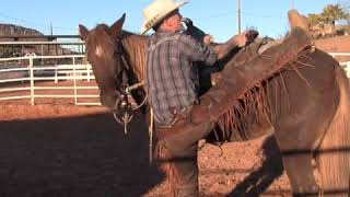 BLM Mustang Training Tips  Safety Tips BEFORE You Get In The Saddle. Building Confidence & Safety