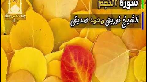 سورة النجم لفضيلة الشيخ نورين محمد صديق