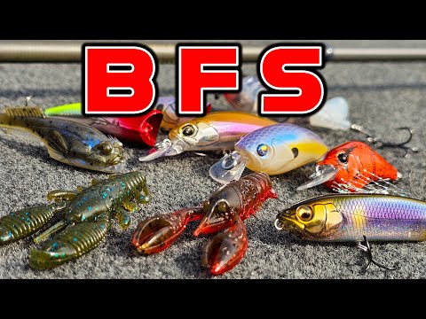 SPRING BUYER'S GUIDE: BFS ( Bait Finesse System: Rods, Reels