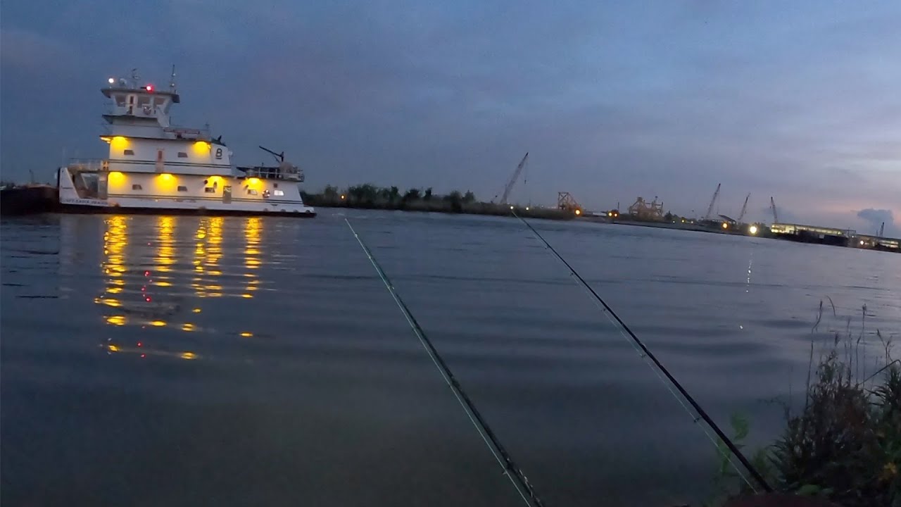 Catching Early Morning Catfish! (The Morning Bite) 