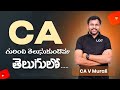 CA Course Structure Explained in Telugu 📘