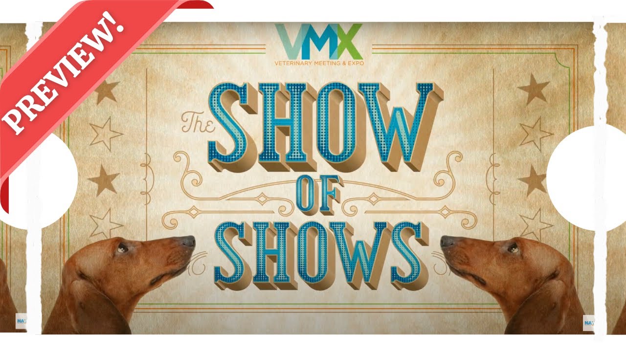 VMX 2024 The Show of Shows PREVIEW! YouTube