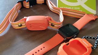 JUGBOW - Great TRAINING COLLAR for DOGS