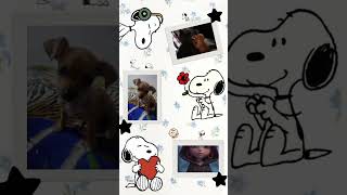 12 De Noviembre De 2025