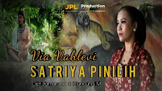 Via Vahlevi - Satriya Pinilih | Dangdut 