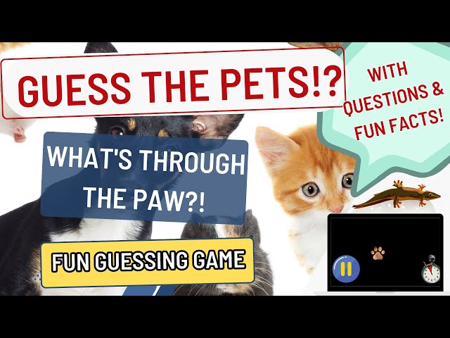 Pets In English  Guessing Game 