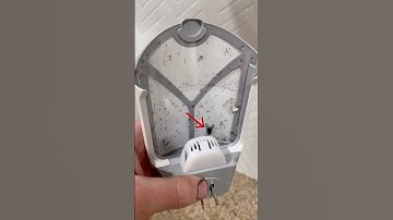 Zevo Bug Catcher Works! #zevo #youtubeshopping #find #bug