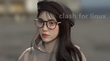 Clash汉化教程，最理想的翻墙代理软件，轻松开启科学上网，支持各种主流协议，clash for linux教学。