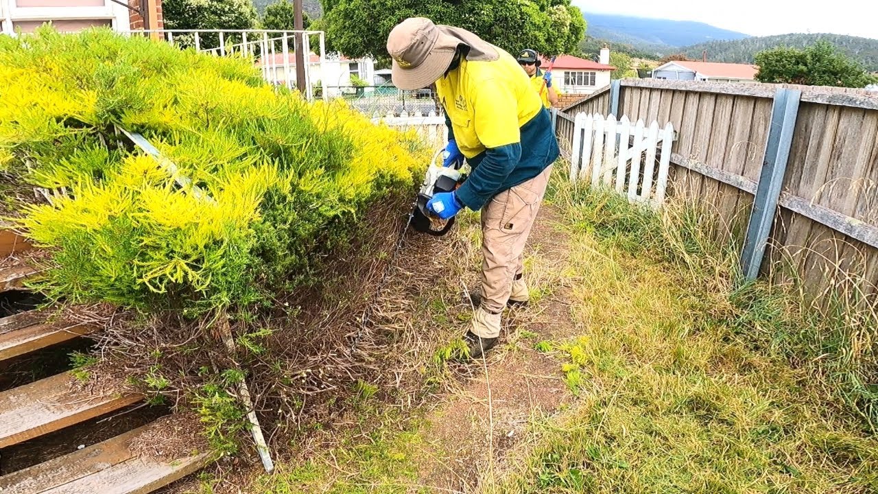 She Couldn't Pay, So I Mowed It For Free... Then The Wasps Attacked!