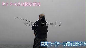 サクラマス釣り Youtube サクラマス釣り Youtube