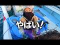 大不漁の建網漁…救世主はイカ！