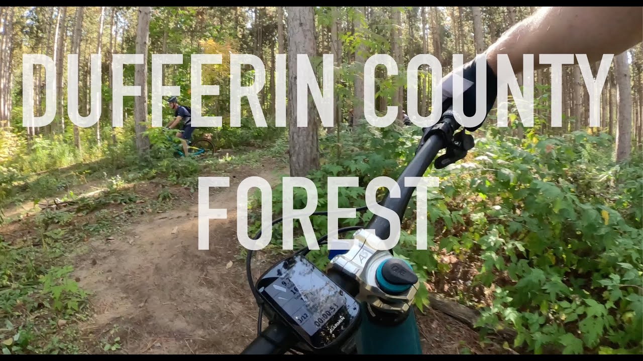 Celebrating a couple of birthdays at Dufferin County Forest! YouTube