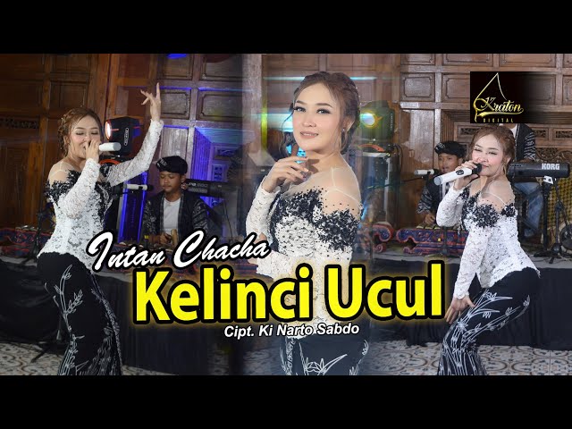 Intan Chacha - Kelinci Ucul (Official Music Video) class=