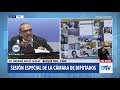 Diputado Iglesias, Fernando Adolfo - Sesión Especial 1-09-2020 - OT