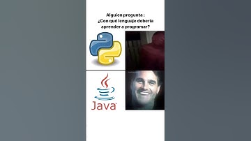 Son python o Java #programacion #programador #programmer #programming #humor