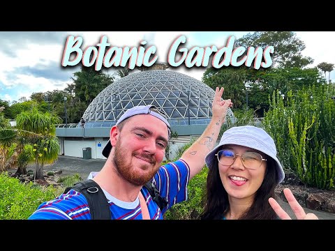 Exploring the Brisbane Botanic Gardens Mount Coot-tha