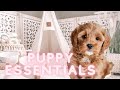 PUPPY ESSENTIALS YOU NEED! / everything I bought for my CAVAPOO puppy! @cavapootheo