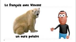 J'apprends le français # 1 mot par jour # un ours polaire