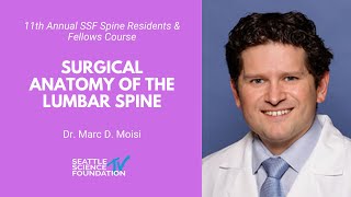 Surgical Anatomy of the Lumbar Spine  Marc D. Moisi, MD