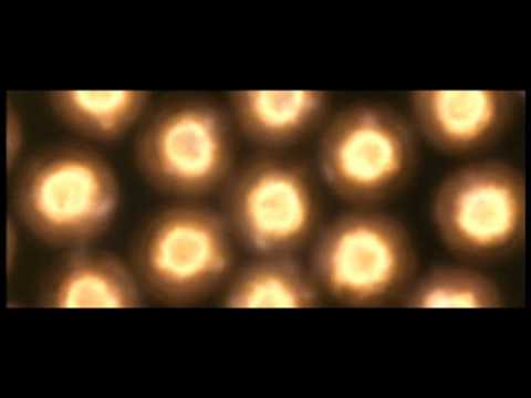 Frank Zappa-RDNZL-
