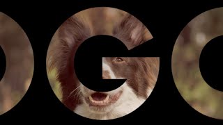 Celebrity Stranger Things Flythrough Text Effect - Apple Motion 5 Tutorial Wealth